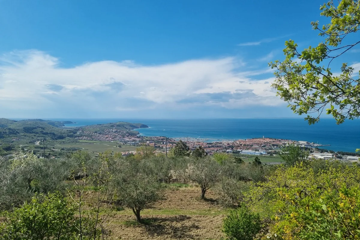 Bora Experience - E-Bike Tours Izola - Kolesarjenje, 6310Izola