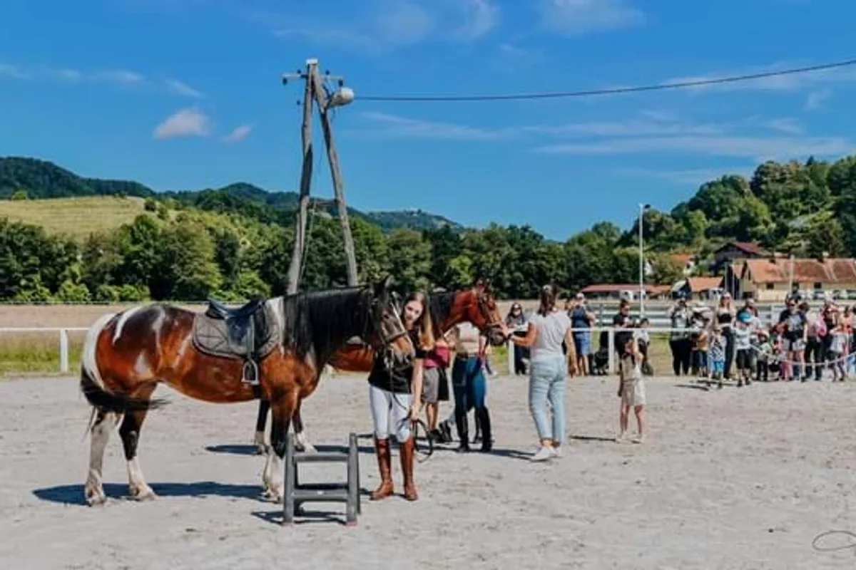 Hipodrom Kamnica Maribor - Horseback Riding, Kamnica
